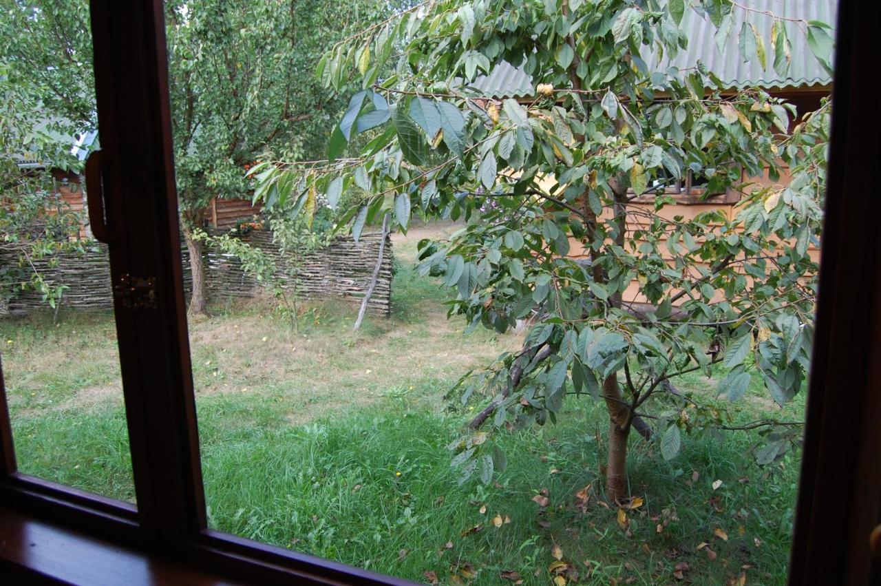 Zelenyi Rai Apartment Svityaz' Luaran gambar