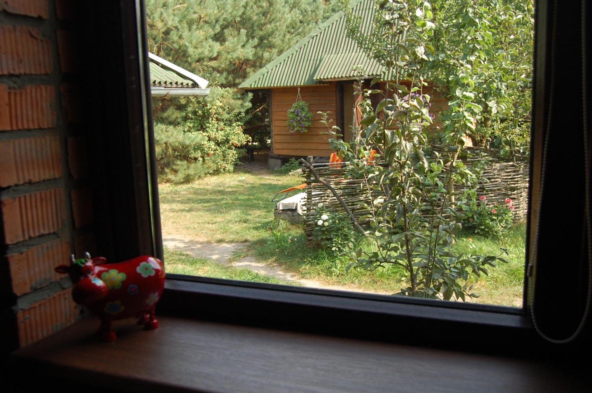 Zelenyi Rai Apartment Svityaz' Bilik gambar